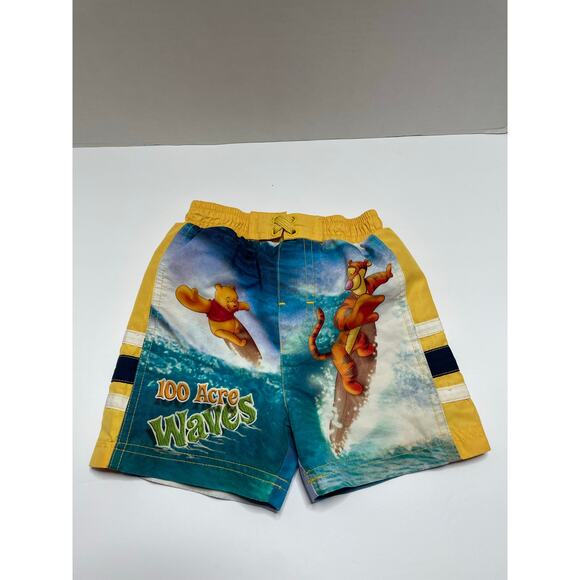 Disney Winnie the Pooh Swim Trunks Boys Size 12 Months Surfing Tigger Waves - Picture 1 of 4